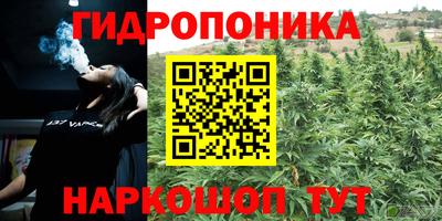 PSILOCYBIN Обь
