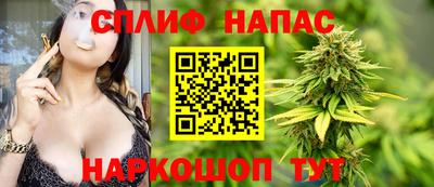 крисы Новозыбков