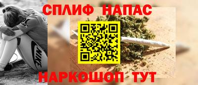 крисы Новозыбков