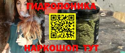 крисы Новозыбков