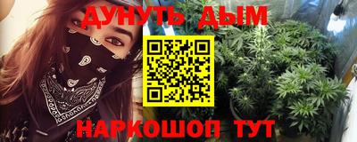 крисы Новозыбков