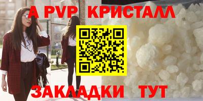 крисы Новозыбков
