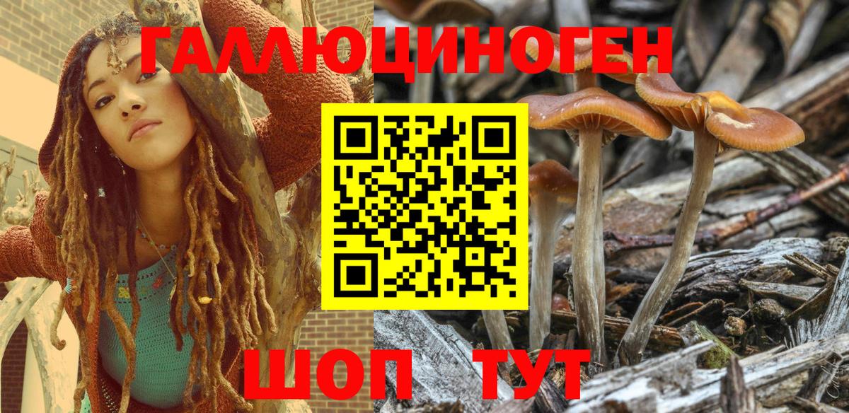 Полысаево  Галлюциногенные грибы Psilocybe  Вход с VPN 