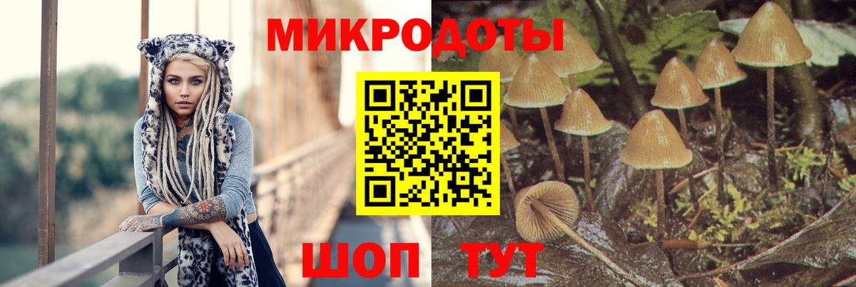 Галлюциногенные грибы ЛСД Полысаево